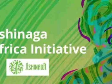 2025 Ashinaga Africa Initiative Scholarship For African Students