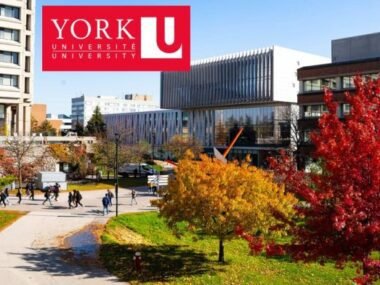 2025 York University Presidential Scholarship